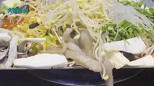 料理店一八爪鱼从火盆逃跑还拐跑豆芽，新鲜又吓人，你敢吃吗？