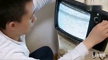主人给拉布拉多新买电视机，狗狗们都迫不及待，下一秒忍住别笑