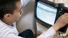 主人给拉布拉多新买电视机，狗狗们都迫不及待，下一秒忍住别笑