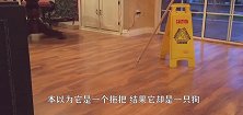 地板警示语边放了一个拖把，随着敲门声响起，拖把居然活了过来