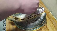 花19块钱买两条黄花鱼，肉质鲜嫩不油腻，媳妇直说很好吃