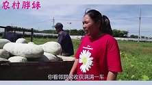 胖妹眼红邻居家地里大丰收，看着自家三分地，也要搞出一番大事业