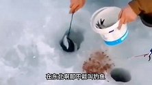 搞笑配音：一到冬天东北人吃鱼有多方便？看大姐这举动就知道了