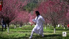 武当易筋经13式，拉伸腰背,锻炼脊柱,久练让你身体好,古代养生功