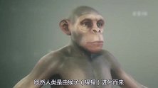 都说人类是由猴子进化而来，那如今看到的猴子，还能进化成人吗？