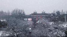 雪花飘飘，银装素裹！一下雪，南京就变成了金陵