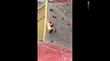 21个月小宝宝在没有任何保护措施下成功攀岩，厉害了我的娃
