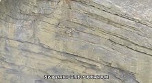 一屋子猫咪正无所事事，一只老鼠突然闯了进来，这得有多倒霉啊