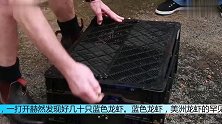 男子在湖中捞起黑色网箱打开之后高兴坏了