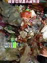 广东：租客欠租房间变垃圾场，房东进屋发现租客藏角落用垃圾盖头
