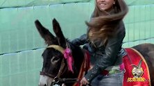 毛驴堵路恶作剧，给吃的也不让通过，俄罗斯搞笑