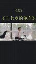十七岁的单车