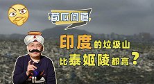 堆积的比泰姬陵都高！印度首都新地标，竟然是座超大垃圾山？