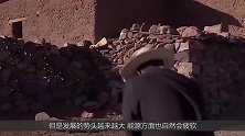 “发电兽”让全村获益，放水里就能发电，再也不怕没电了