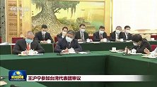 王沪宁参加台湾代表团审议