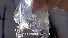 海滩出现神秘生物，男子作死抓起盖在头上，下一秒意外就发生了！