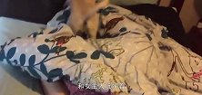 女主人赖床不起，狗子软硬兼施，还不信叫不起来