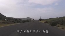鸵鸟一步走8米，猎豹追它都得拼命，镜头拍下惊心动魄一幕！