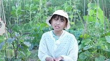 农场vlog：艾米儿在甜甜农场摘到了茭瓜和辣椒