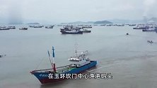 浙江近万艘渔船今日开捕，何时能吃上第一“捕”东海海鲜？