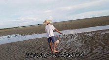 阿旺和村花赶海挖螺，这种螺实在太多了，堪比养殖场