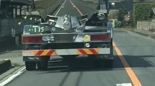 日本的大货车，车身居然像镜子般发亮，专治“远光狗”的吗