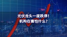 光伏龙头一度跌停！机构在害怕什么？