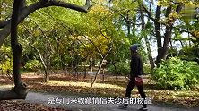 克罗地亚人口仅410万，为何能赢得世界足球亚军？球员：从小训练