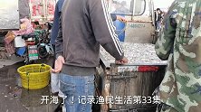 山东日照开海迎丰收，码头上八爪鱼“泛滥成灾”，卡车都装不下了
