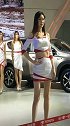美女如云个个都是靓丽车模