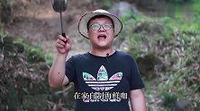 几百元的海鲜，做成海鲜大咖，这下可以吃个够了