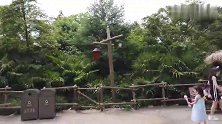 实拍迪斯尼乐园绿野仙踪游乐园，站在哈哈镜面前，变成了大长腿