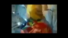 足球-15年-梦想照亮劫后余生 10年后继承C罗衣钵-新闻