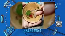 以假乱真  猫咪舔上金鱼画
