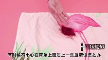 床单上撒一把它，教你不用一滴水，顽固血渍轻松去除，太实用了