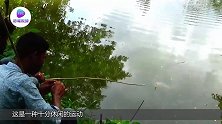 河面放一条小鱼，被一“黑影”盯上后，下秒场面太震撼了！