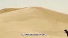 美国都束手无策的问题，我国却迎刃而解？德国：中国人太聪明