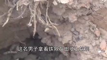 一男子在田埂挖洞，挖出了躲在田里的家伙，越挖越多
