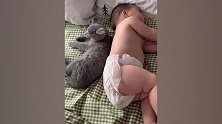 猫咪蹑手蹑脚躺在萌娃身边休息，一系列动作萌翻网友