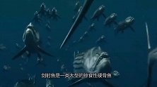 天生一脸凶相，能整个吞掉2米长的大鱼，巨齿鲨见了绕道走
