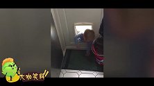 大咖笑料 笑cry！萌娃闻自己的袜子晕厥