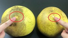 柚子好不好，看这里就知道，学会这个技巧，挑柚子皮薄肉多水分足