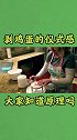 好物推荐 大气压强 仪式   人类迷惑行为