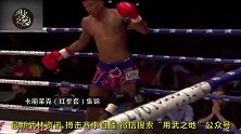 百战泰拳王“黑蜘蛛”擂台击溃各路对手