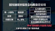 财务部放大招！国家融资担保基金上线了，从此贷款财务部帮你担保