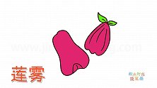 水果简笔画大全，画两个好吃的莲雾简笔画