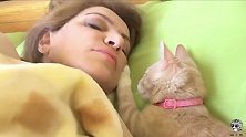 猫咪也懂得怜香惜玉，叫美女起床柔情似水，叫男子起床简单粗暴
