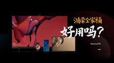 先吹后喷，鸿蒙全家桶深度解读