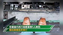 长沙培训机构男子刀刺同学致2死3伤 跳楼自杀身亡