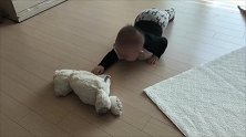 小宝宝蹦跶蹦跶地爬过来拿玩具，翘起屁股的小动作太萌了！